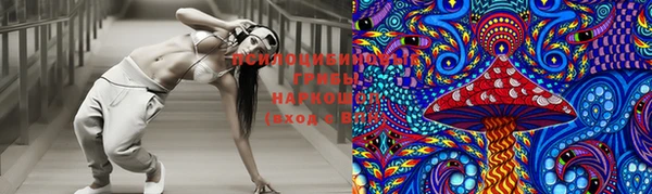 ГАЛЛЮЦИНОГЕННЫЕ ГРИБЫ Балабаново