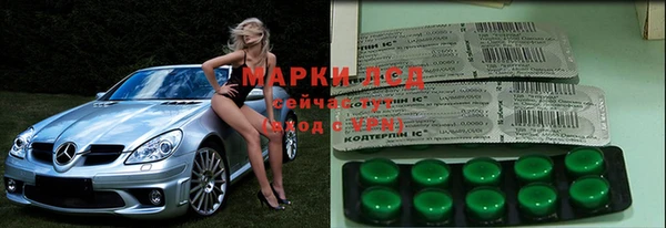 ГАЛЛЮЦИНОГЕННЫЕ ГРИБЫ Балабаново